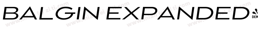 BALGIN EXPANDED字体转换